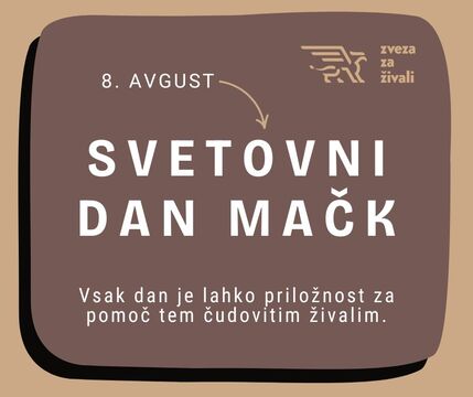 svetovni dan mačk