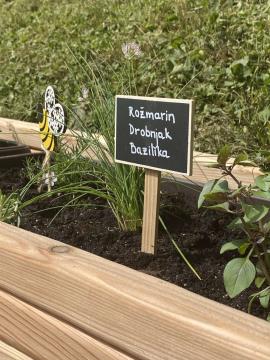 Ko zadišijo zeli.jpg