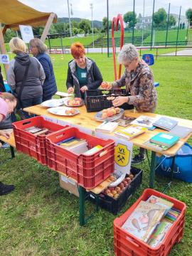 Messenger_creation_4204d609-ccac-4106-aec9-9138a1adfcd5