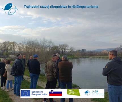 ribe2